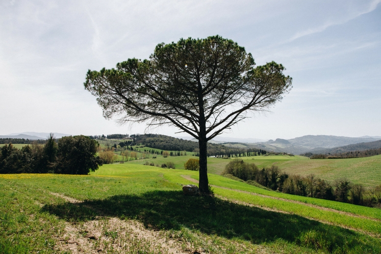 Mr & Mrs Smith_Borgo Pignano_landscape 