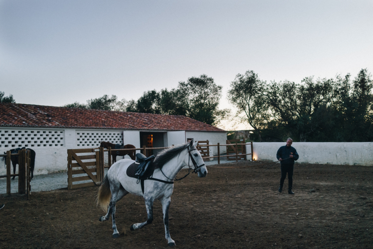 SãoLourençodoBarrocal_horses_Alentejo_Portugal
