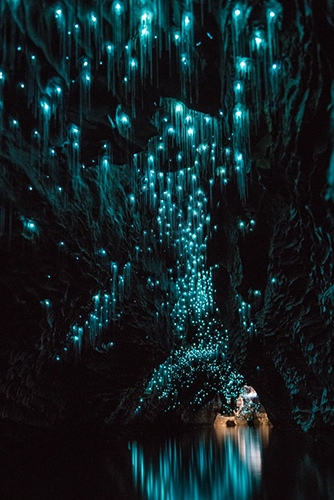 The Waitomo Glowworm Caves, New Zealand