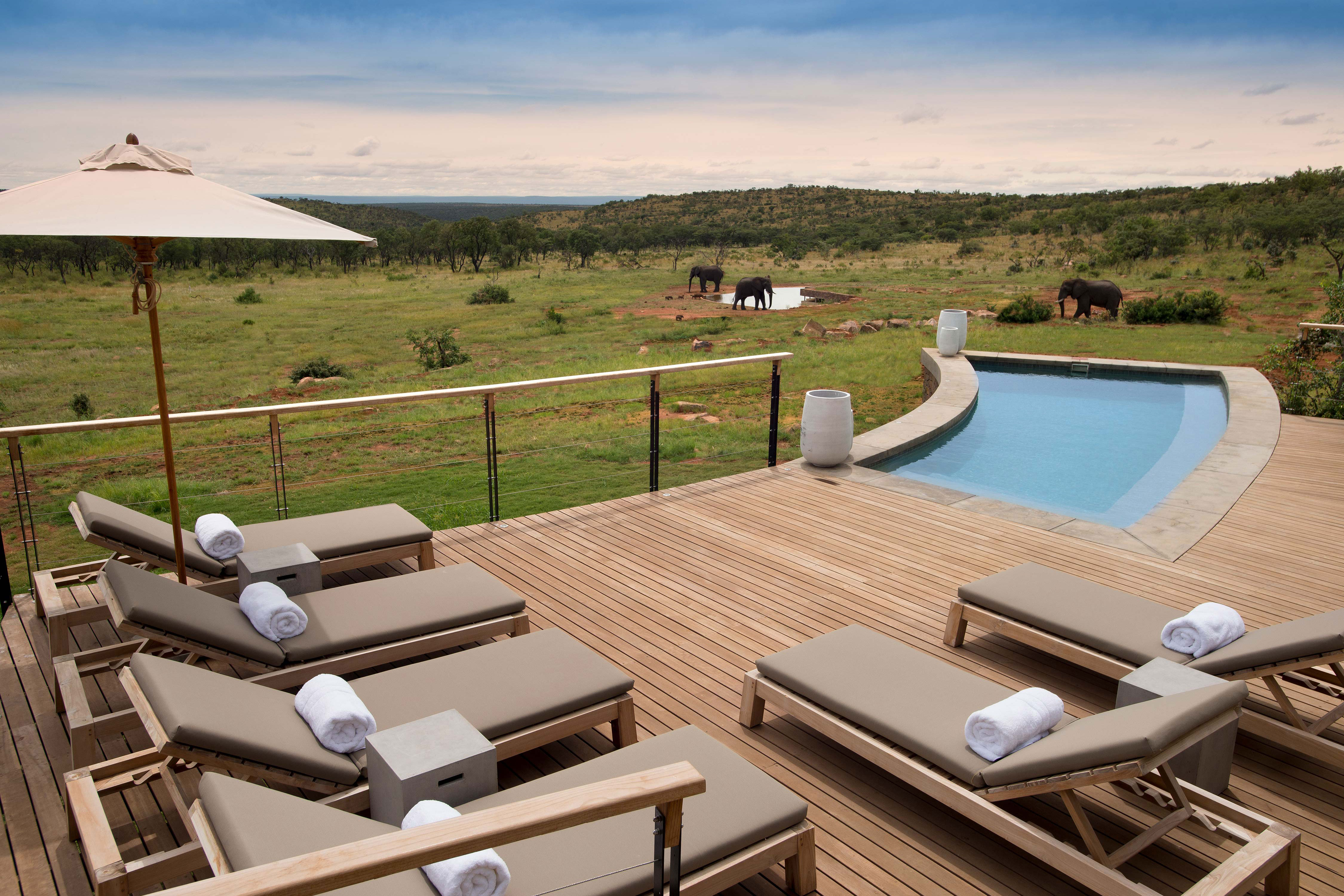 Luxury villas for family holidays | Mhondoro, South Africa | Mr & Mrs Smith Editorial 