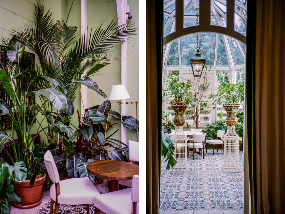 Plants in the conservatory at Oakley Court hotel | Mr & Mrs Smith